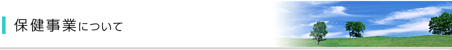 保健事業について